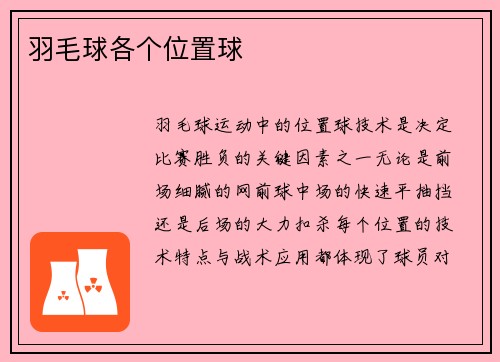羽毛球各个位置球