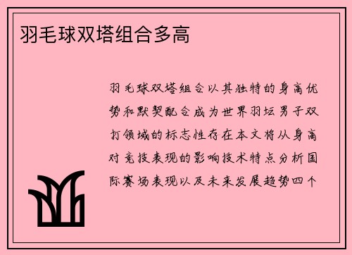 羽毛球双塔组合多高